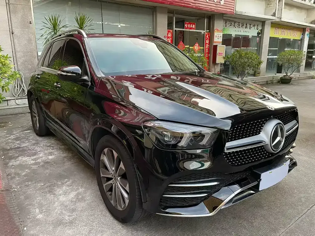 Mercedes-Benz 奔驰GLE(进口) — фото 7