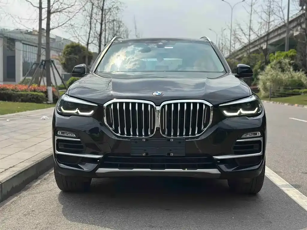 BMW X5 (Import) — фото 6