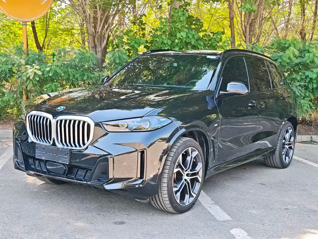 BMW X5 — фото 1