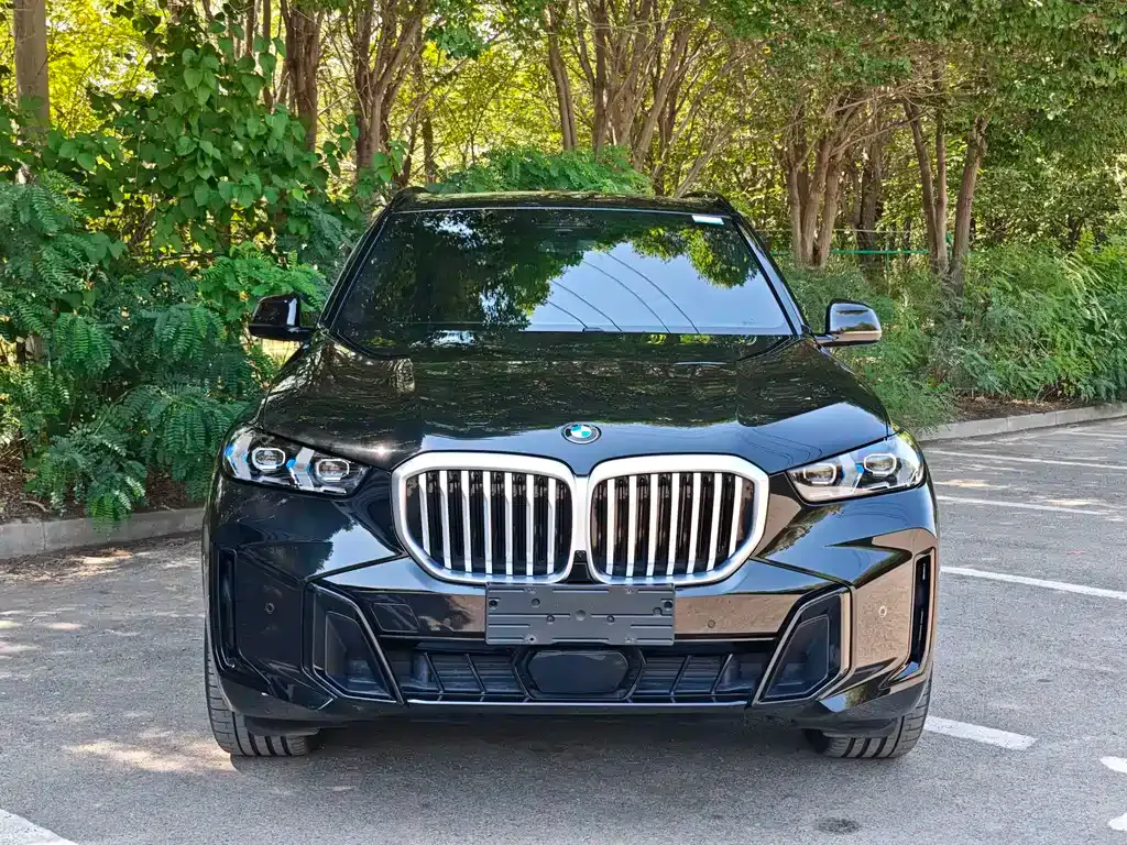 BMW X5 — фото 6