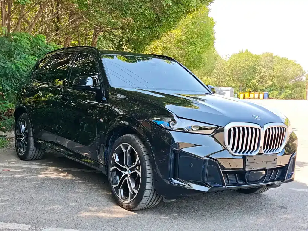 BMW X5 — фото 9