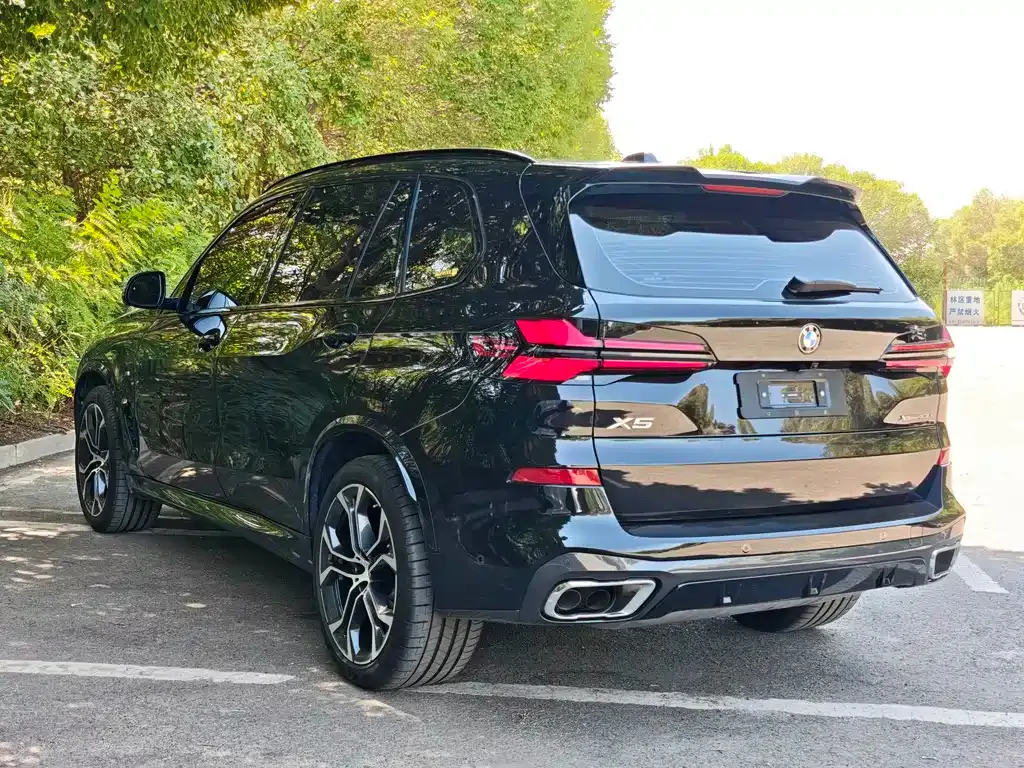 BMW X5 — фото 10
