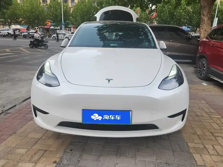 Tesla Model Y — фото 8