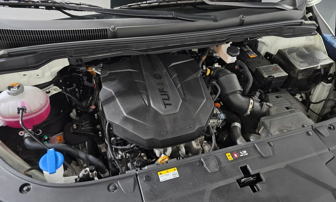 Kia Carnival — фото 10