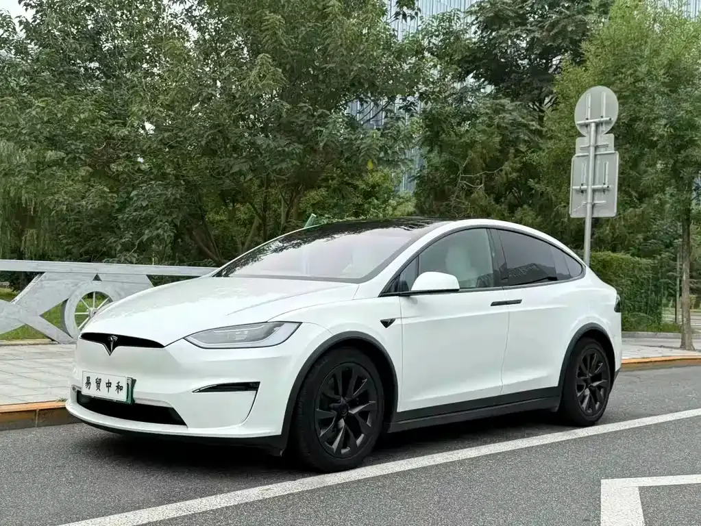 Tesla Model X — фото 1