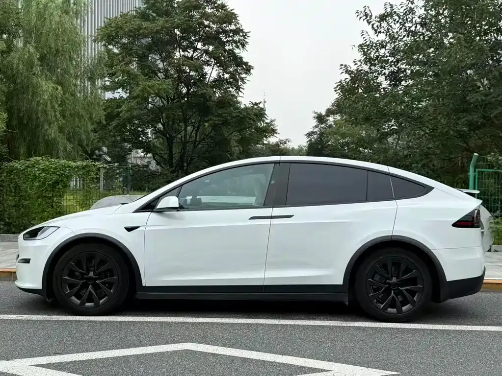Tesla Model X — фото 8