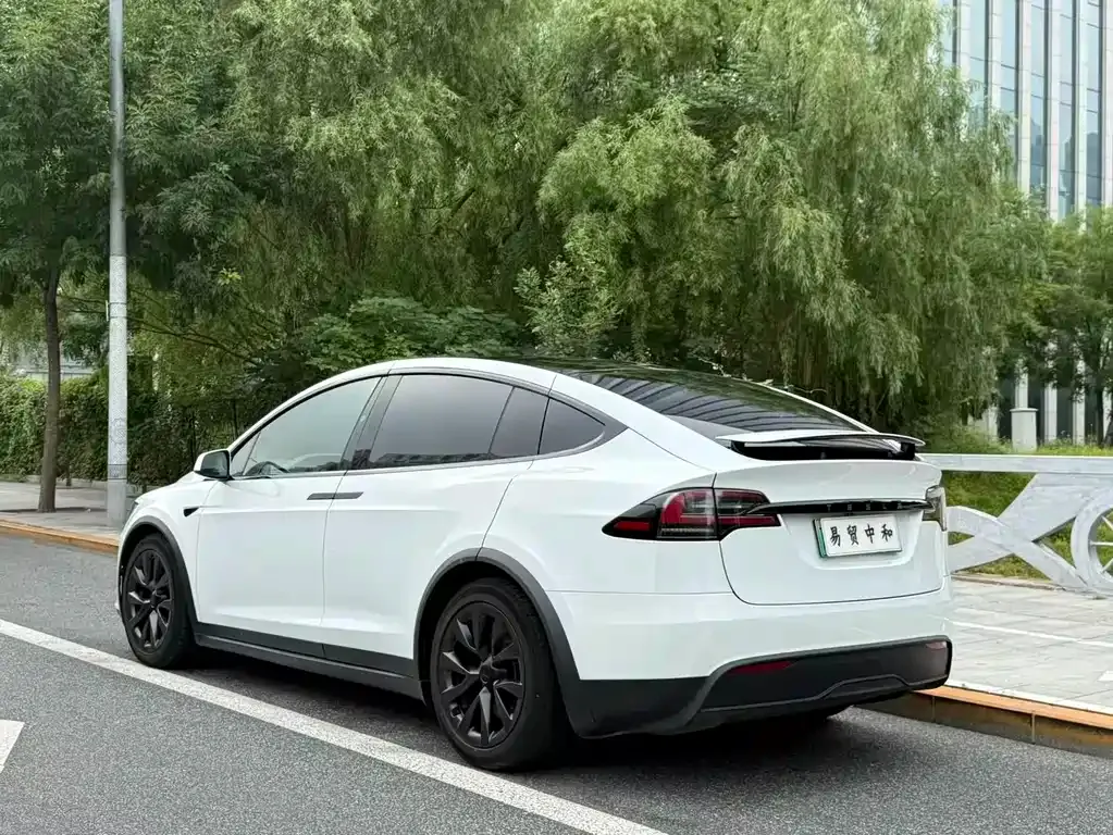 Tesla Model X — фото 7