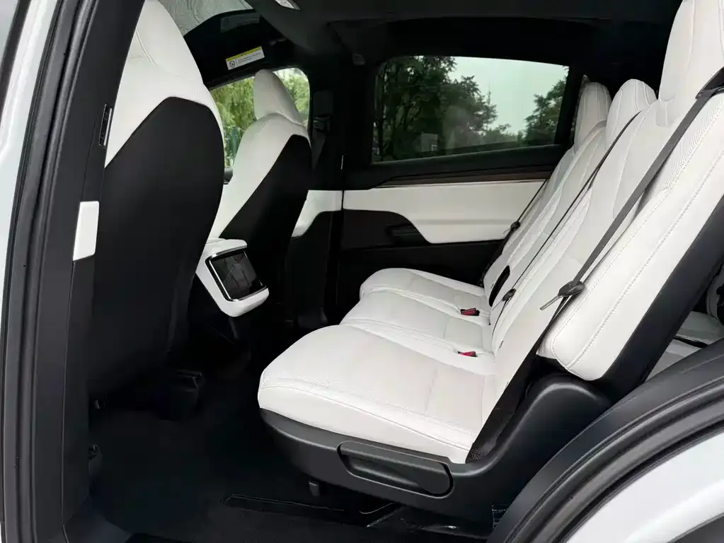 Tesla Model X — фото 9