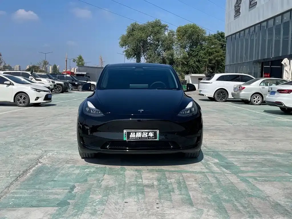 Tesla Model Y — фото 8