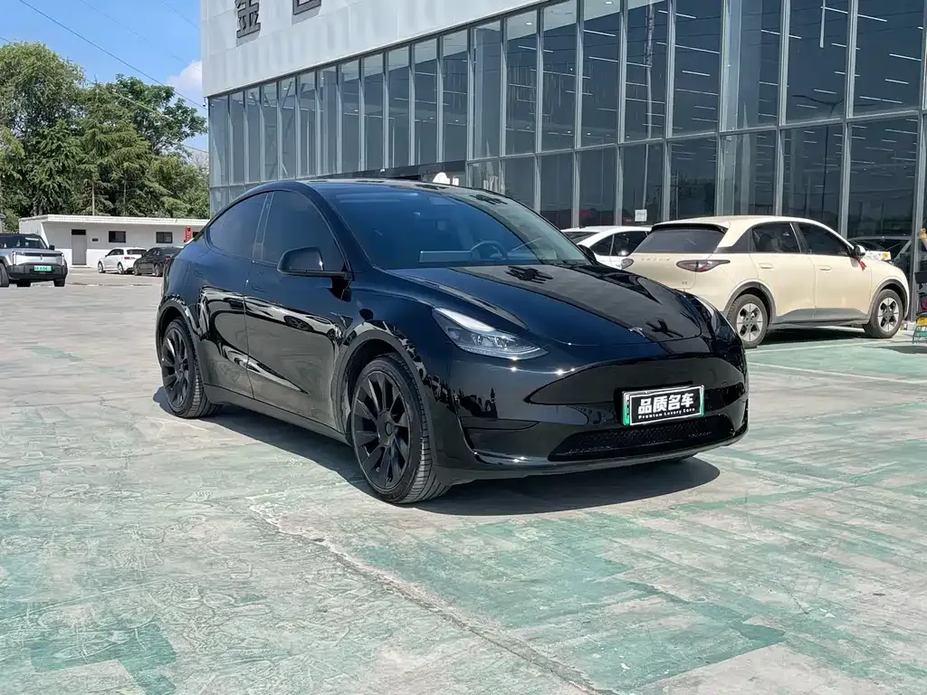 Tesla Model Y — фото 10