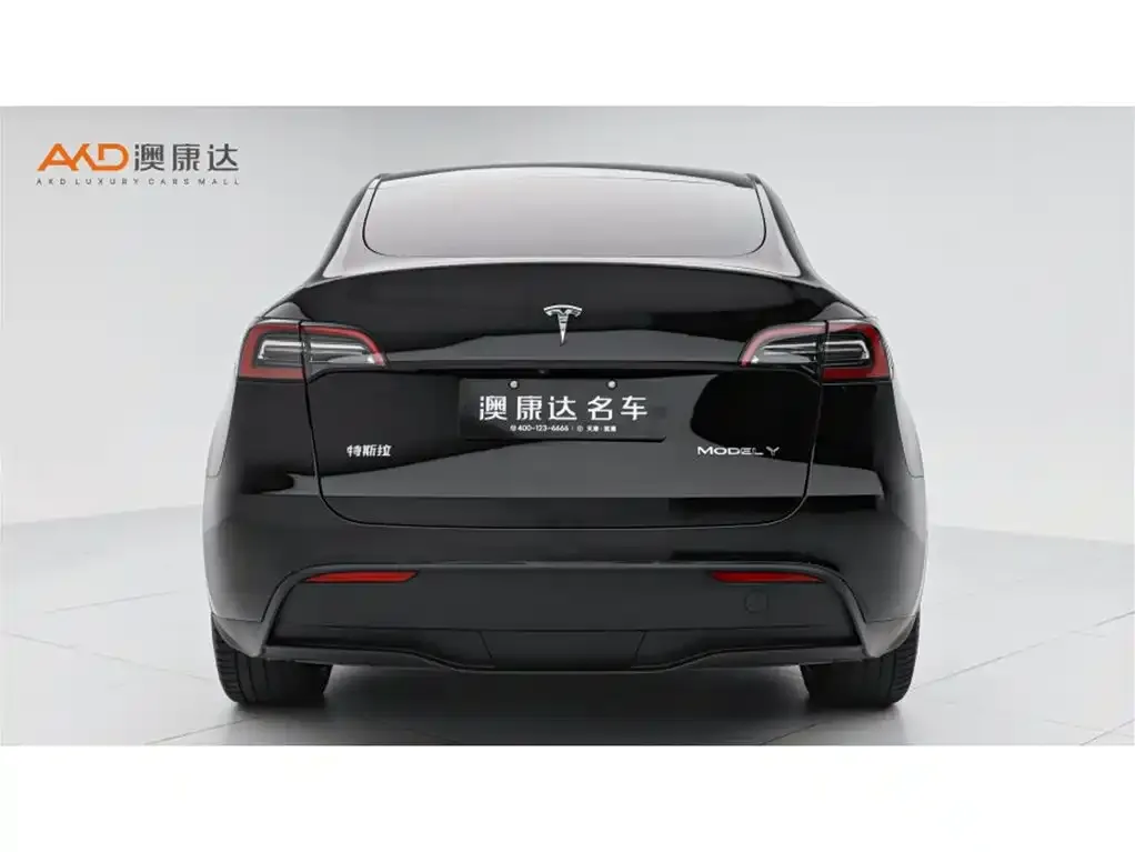 Tesla Model Y — фото 4