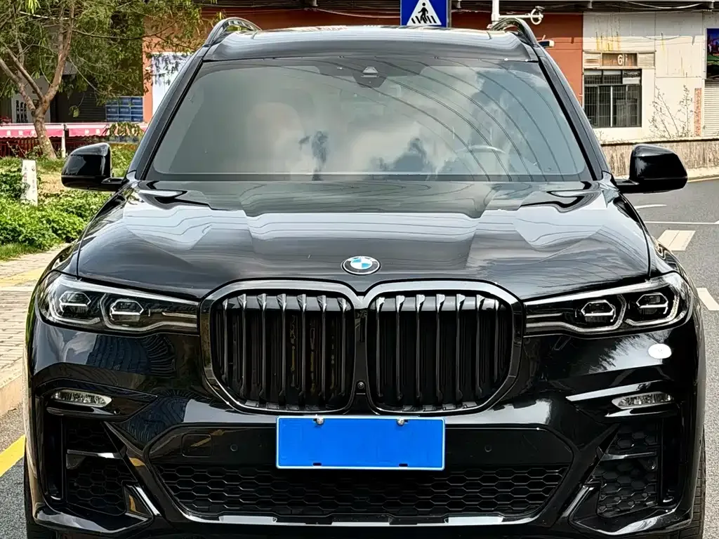BMW X7 — фото 3