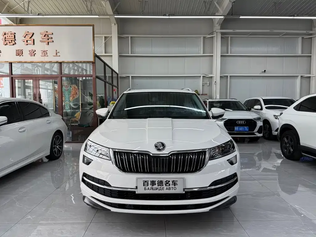 Skoda Karoq — фото 3