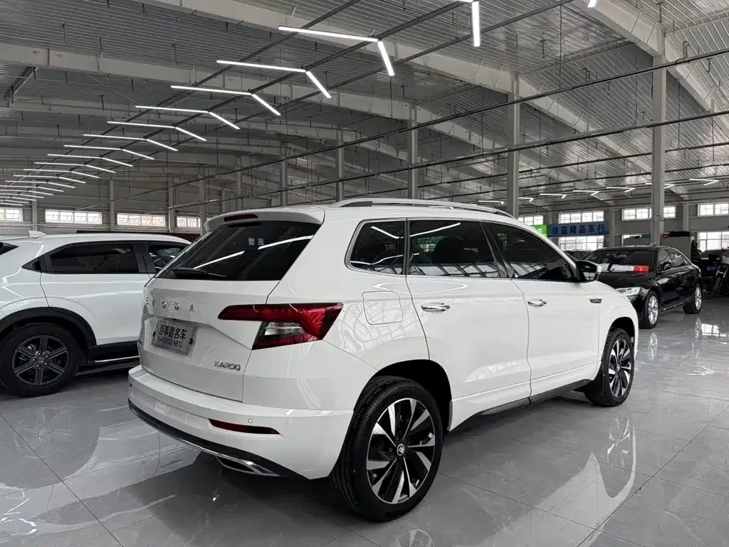 Skoda Karoq — фото 8
