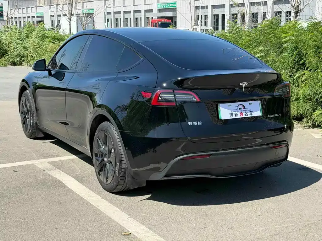 Tesla Model Y — фото 10