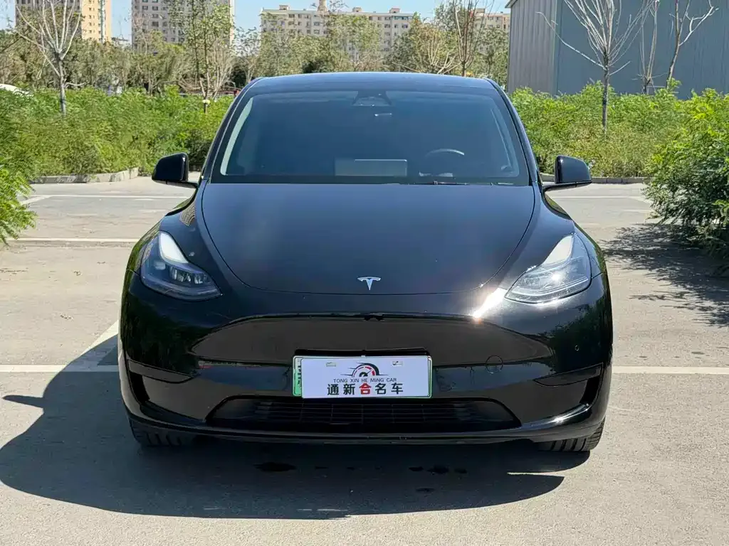 Tesla Model Y — фото 2