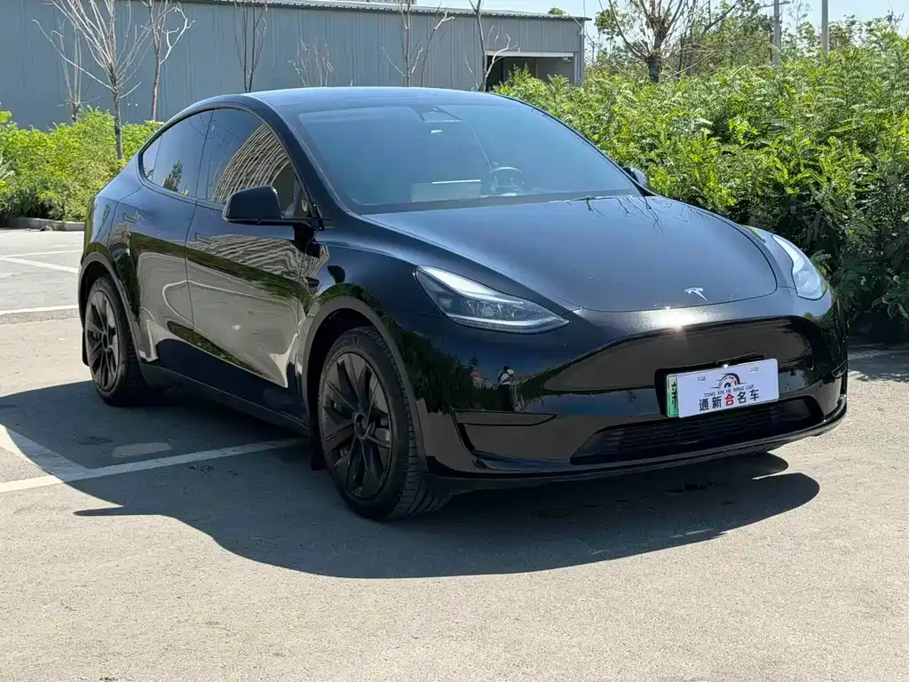 Tesla Model Y — фото 6