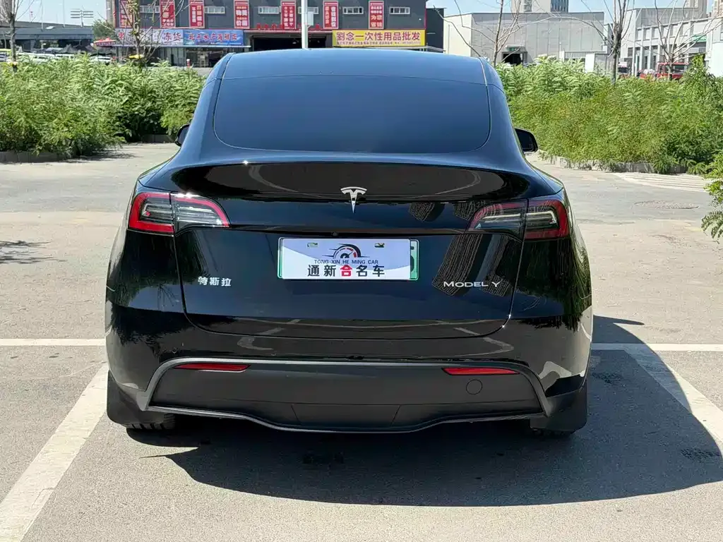 Tesla Model Y — фото 9