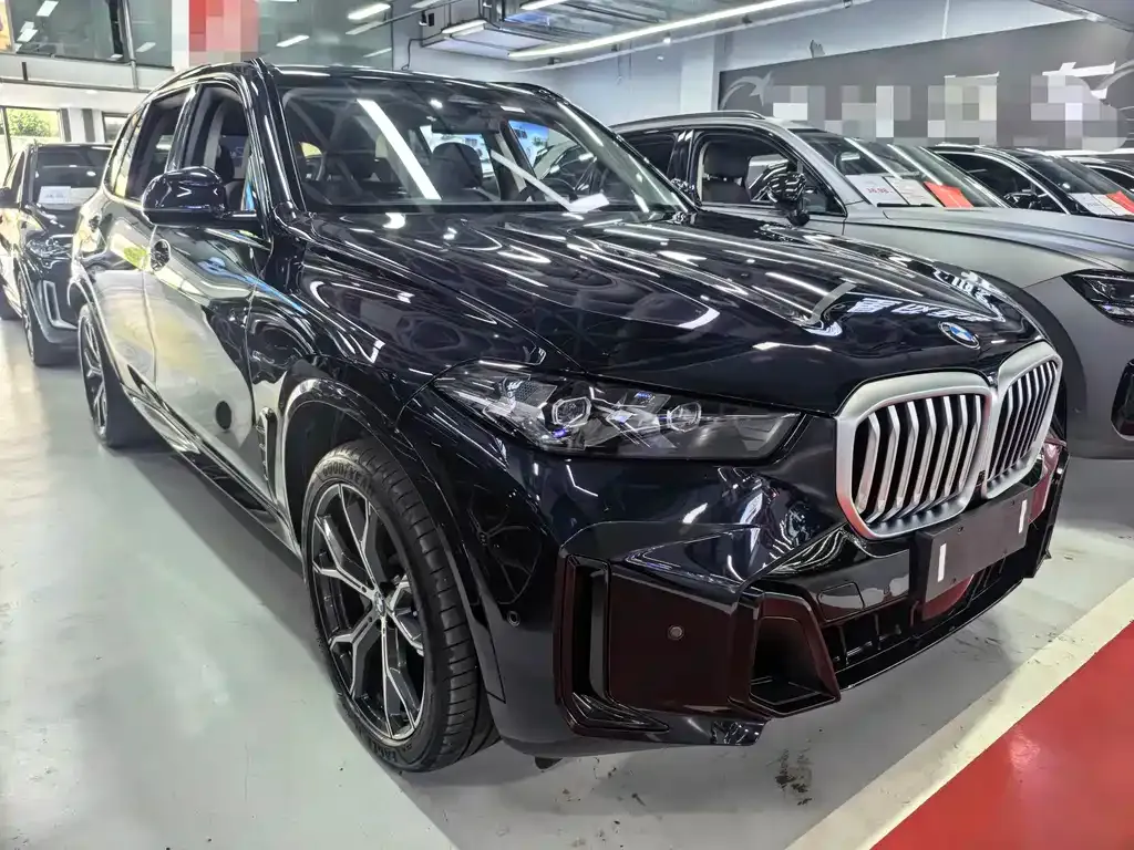 BMW X5 — фото 4