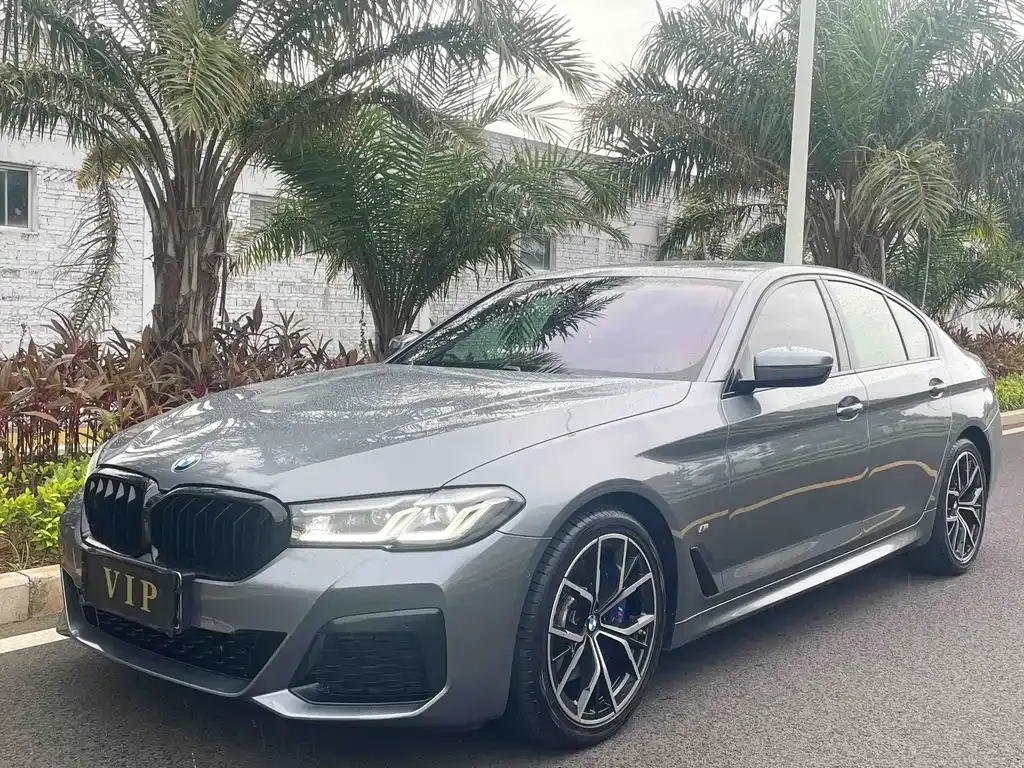 BMW 5 Series (Import) — фото 1