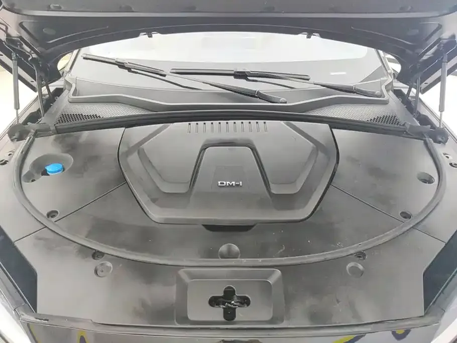 BYD PLUS New Energy — фото 4