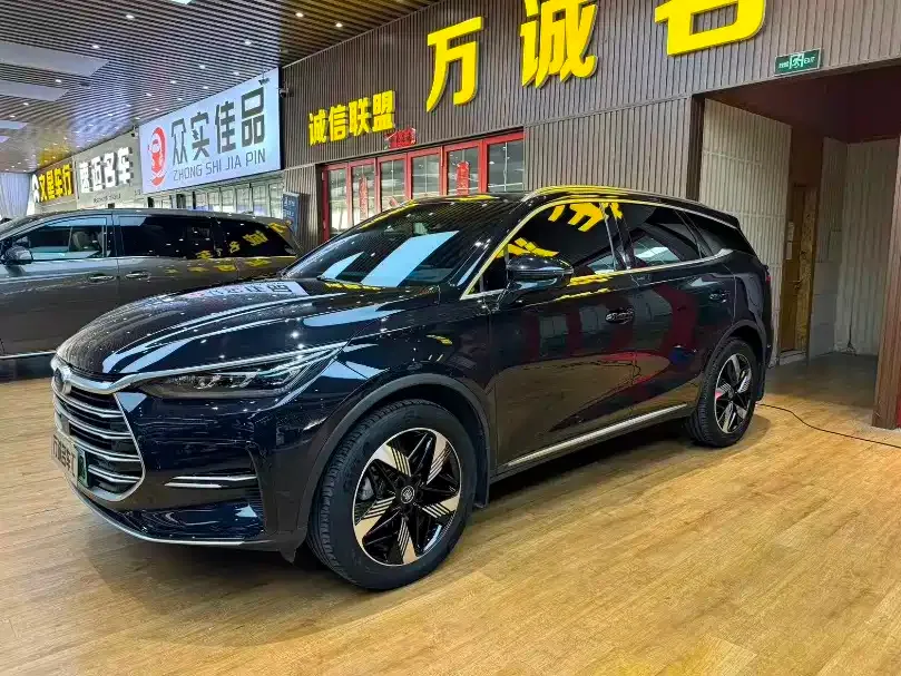 BYD Tang New Energy — фото 1