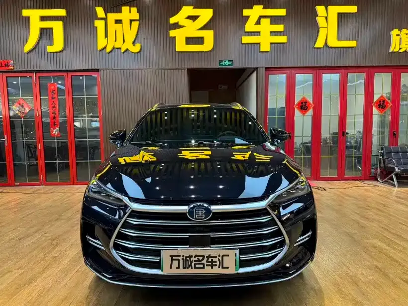 BYD Tang New Energy — фото 6