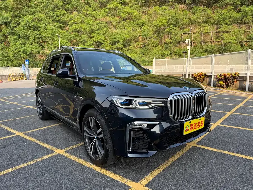 BMW X7 — фото 9