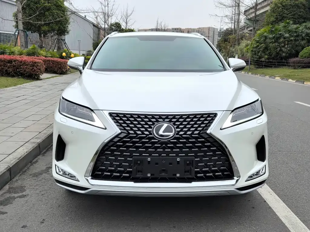 Lexus RX — фото 10