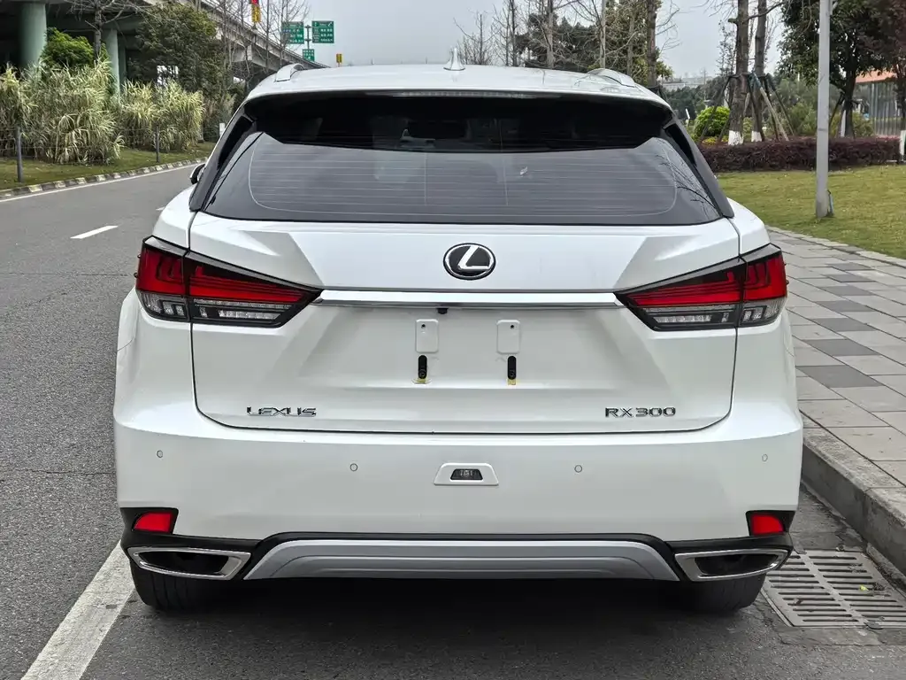 Lexus RX — фото 8