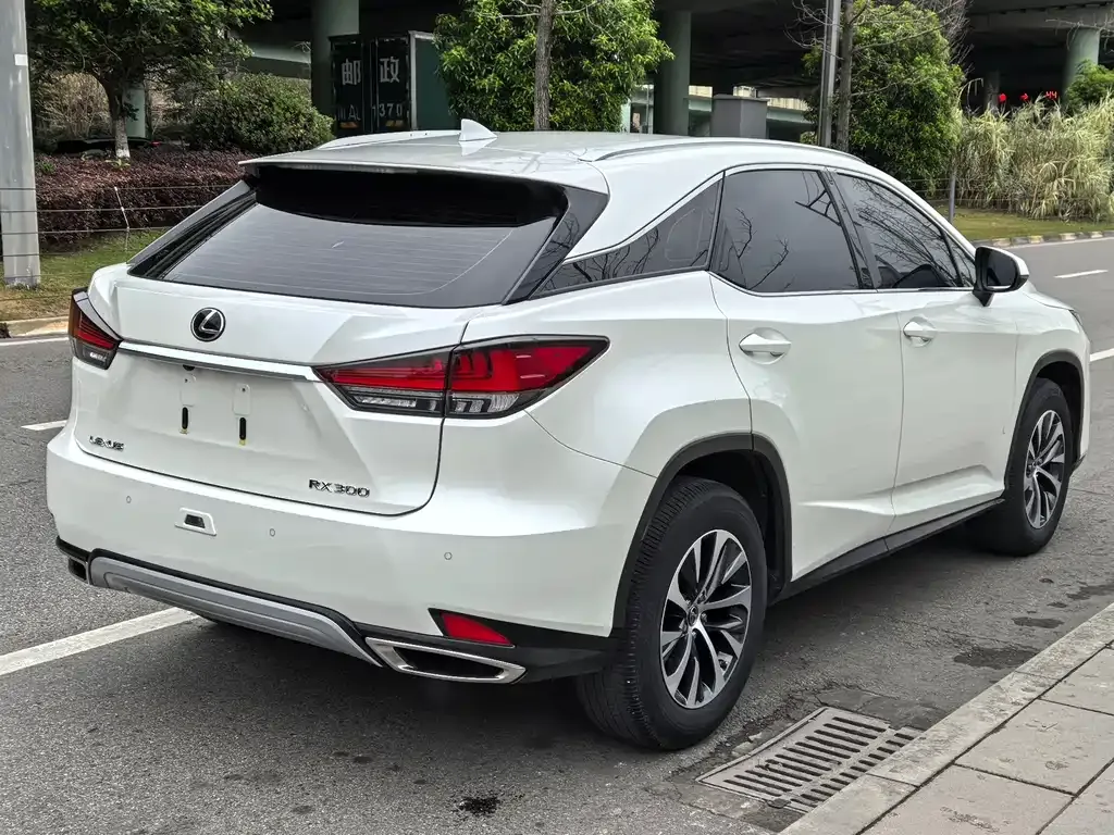 Lexus RX — фото 4