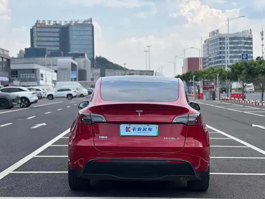 Tesla Model Y — фото 3
