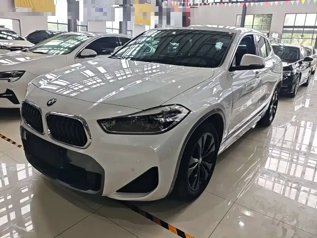 BMW X2 — фото 1