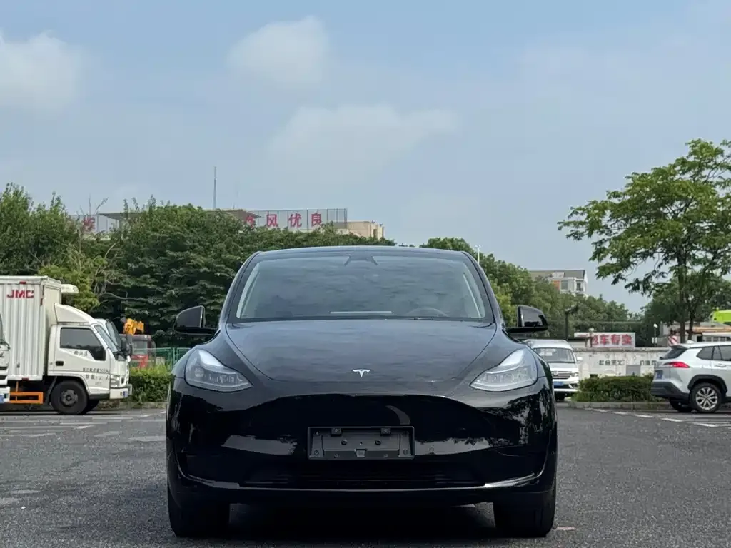 Tesla Model Y — фото 8