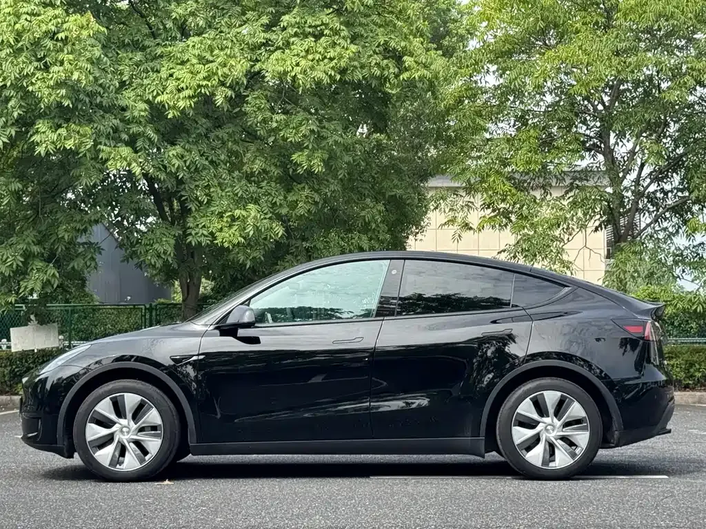 Tesla Model Y — фото 10