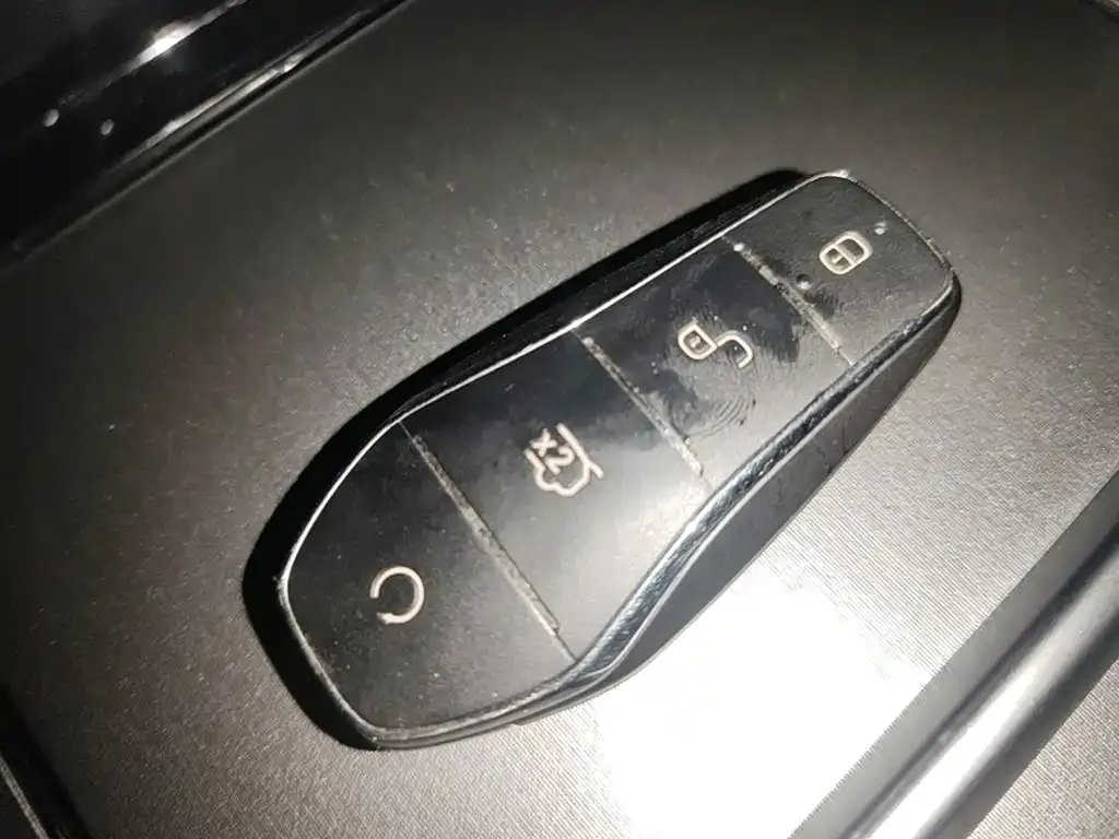 BYD Tang New Energy — фото 10