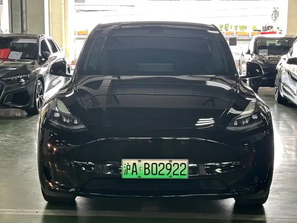 Tesla Model Y — фото 3