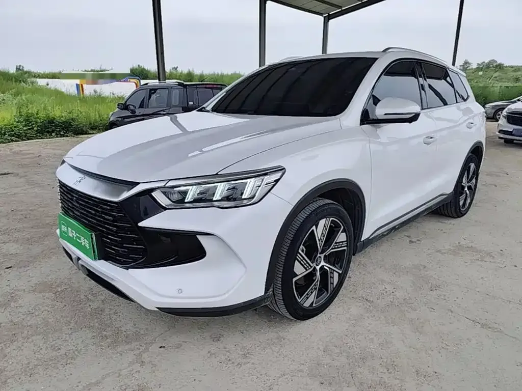 BYD Pro New Energy — фото 1