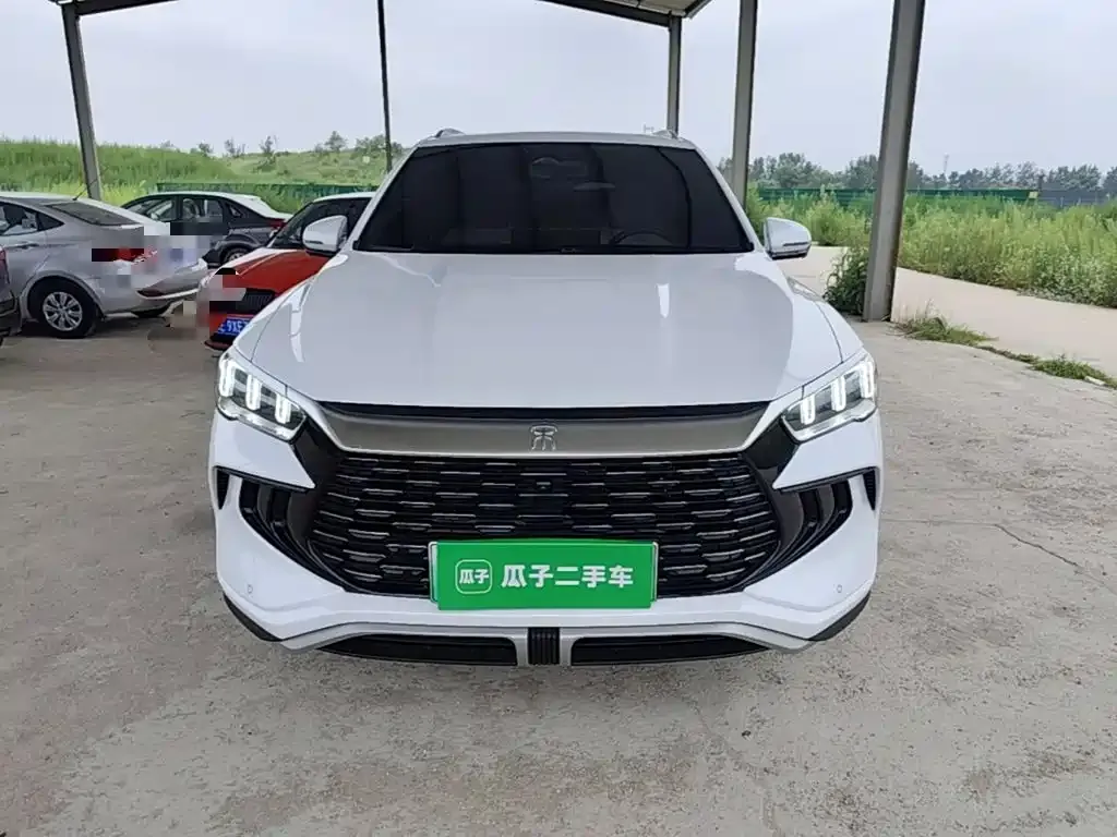BYD Pro New Energy — фото 3