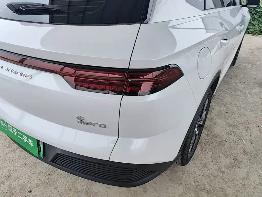 BYD Pro New Energy — фото 6