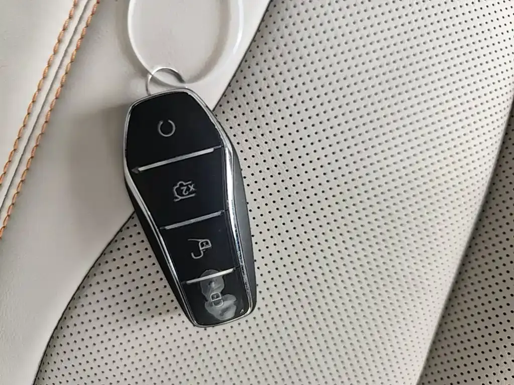 BYD Pro New Energy — фото 10
