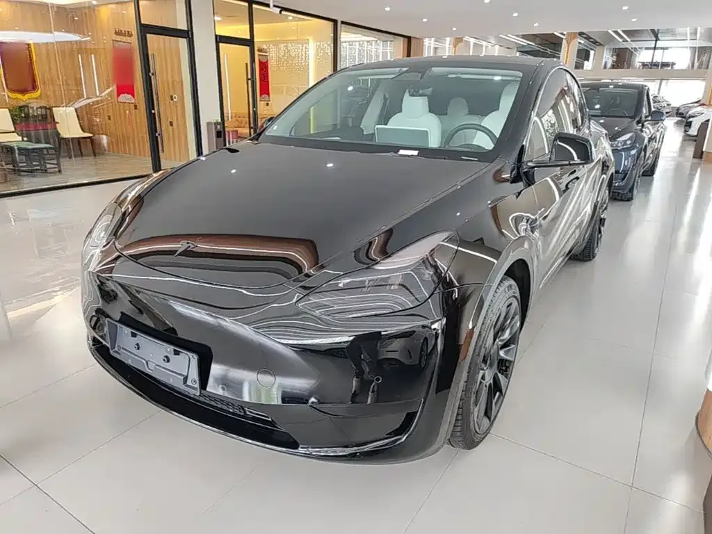 Tesla Model Y — фото 7