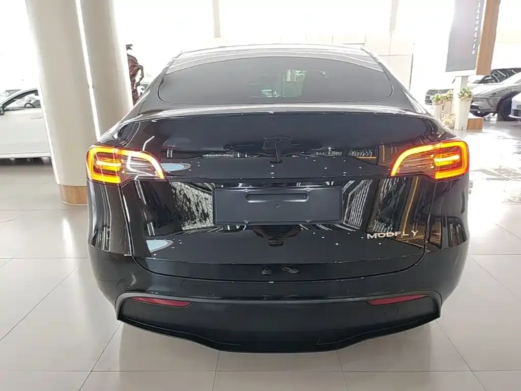 Tesla Model Y — фото 9