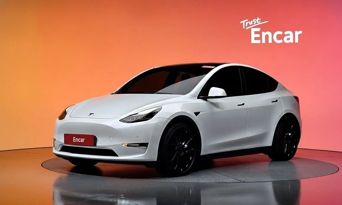 Tesla Model Y — фото 1