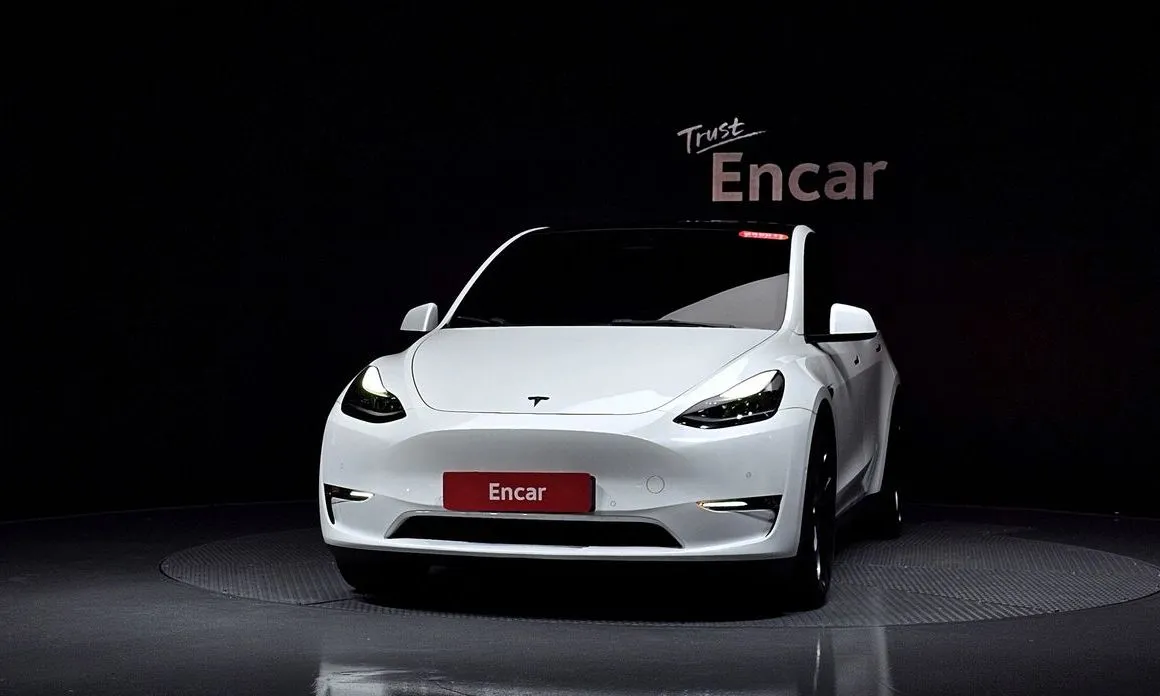 Tesla Model Y — фото 3