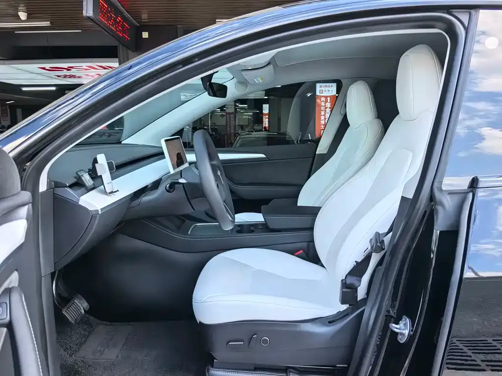 Tesla Model Y — фото 3