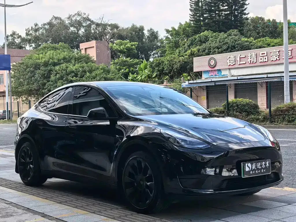 Tesla Model Y — фото 6