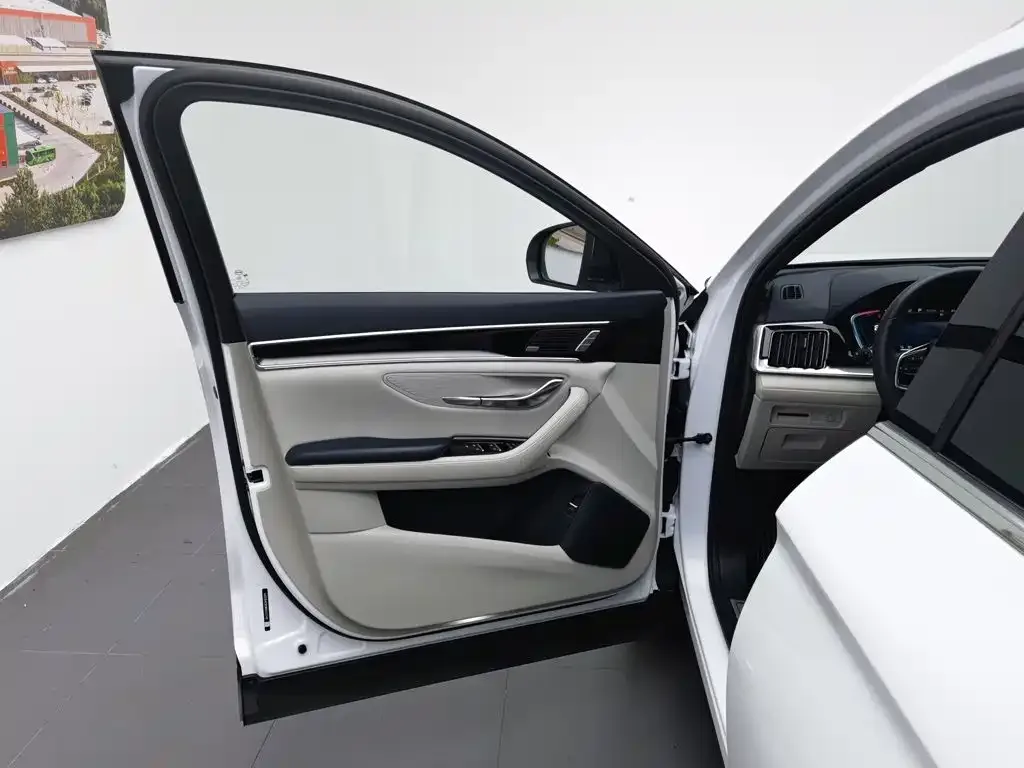 BYD PLUS New Energy — фото 8