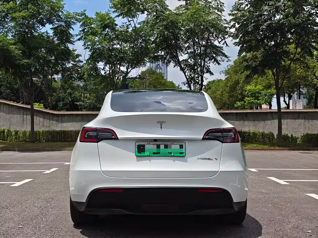 Tesla Model Y — фото 10