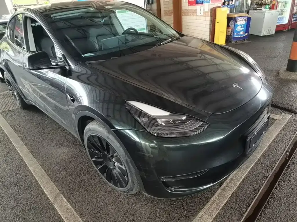 Tesla Model Y — фото 10
